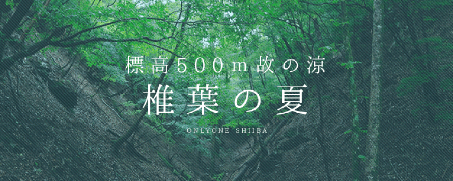 標高500m故の涼 椎葉の夏